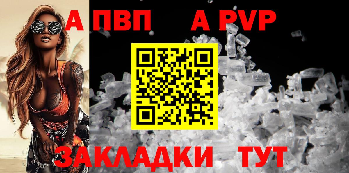 Alfa_PVP СК Дмитров