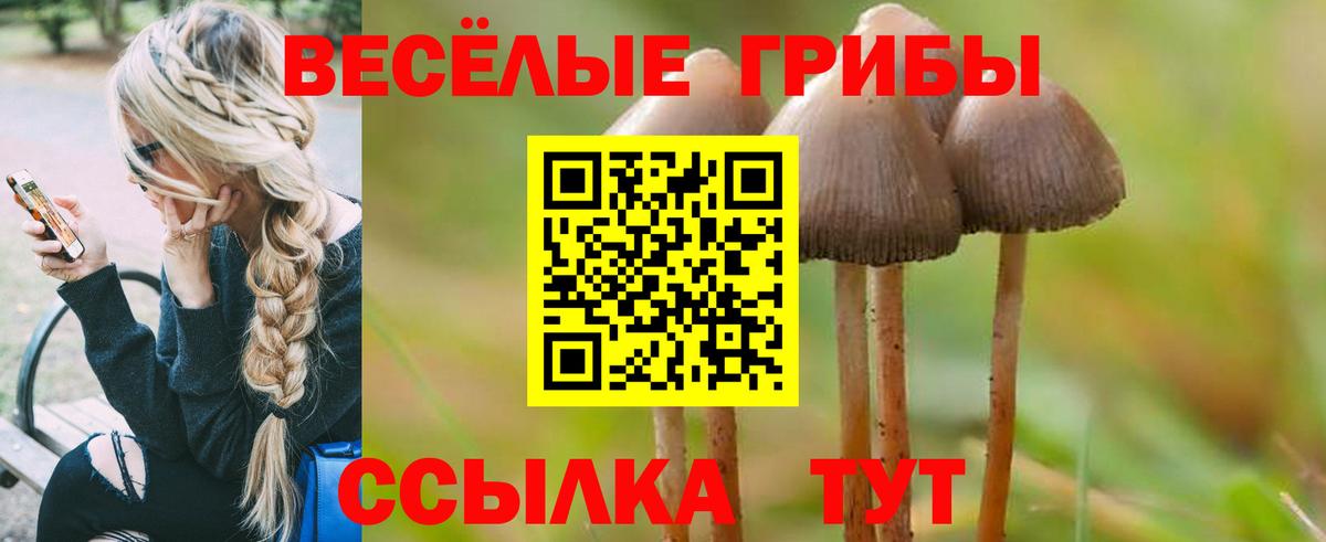 Псилоцибиновые грибы Magic Shrooms  Вход с VPN  Дмитров  Псилоцибиновые грибы прущие грибы 
